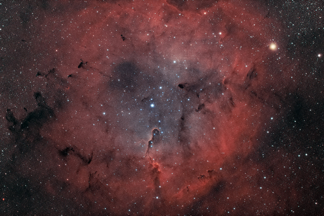 IC 1396 Elephant’s Trunk Nebula – Dave Mason Photography