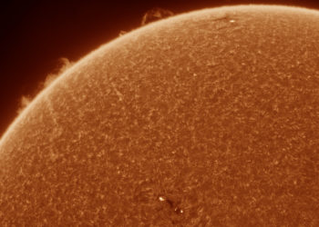 Prominences and active regions on the chromosphere.