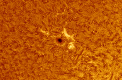 16-06-2021 Sunspot and Plages