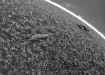 03-07-2021 Filament and AR2838