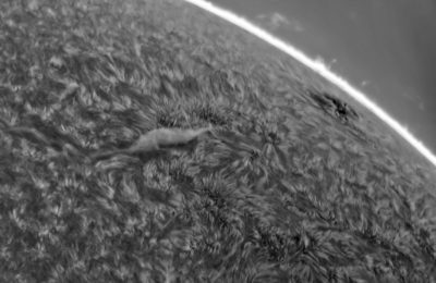 03-07-2021 Filament and AR2838