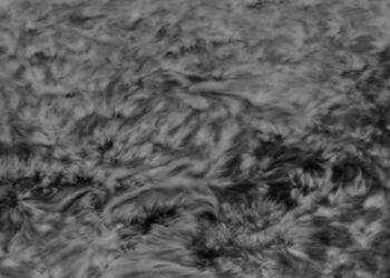 03-07-2021 Prominences and AR2835